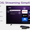 Roku Express 3960 Hd | Convertir Tu Tv En Smart | Tv Box | Chromecast | Apple Tv | Aparato Para Transformar El Tv Para Ver Netflix Y Youtube | Amazon Tv Stick.