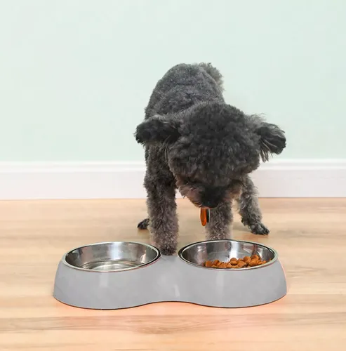 Plato Para Perro Comedero Para Mascotas Doble Perros Y Gato