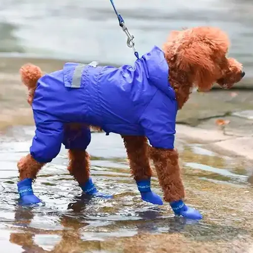 Botitas Perros Chicos Antideslizante Zapato Lluvia Silicona
