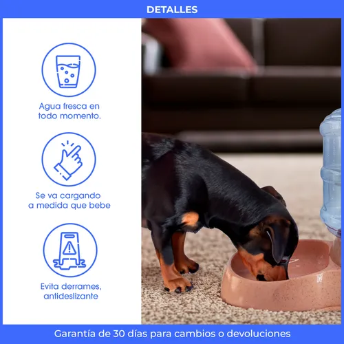 D_NQ_NP_635461-MLA79511238213_092024-O.webp Bebedero Dispenser Mascota Perro Gato Agua