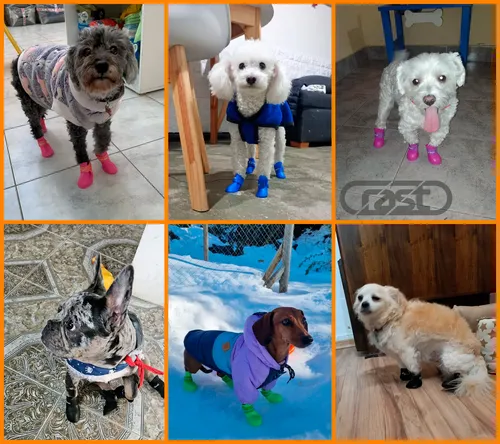 Botitas Perros Chicos Antideslizante Zapato Lluvia Silicona