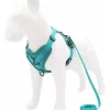Arnes Pretal Para Perro Y Gato Con Correa 1.5 M Anti Tirones