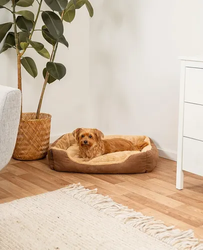 Moises Para Perro Gato Cucha Cama 68 X 48 De Super Calidad