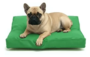 Colchón Liso Antidesgarro 70x50x8 Cama Perros Mascotas Gatos