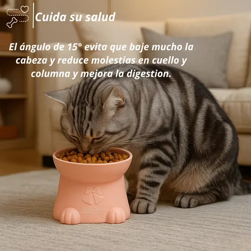 Comedero Bebedero Plato Alto Gato Mascota Elevado Inclinado