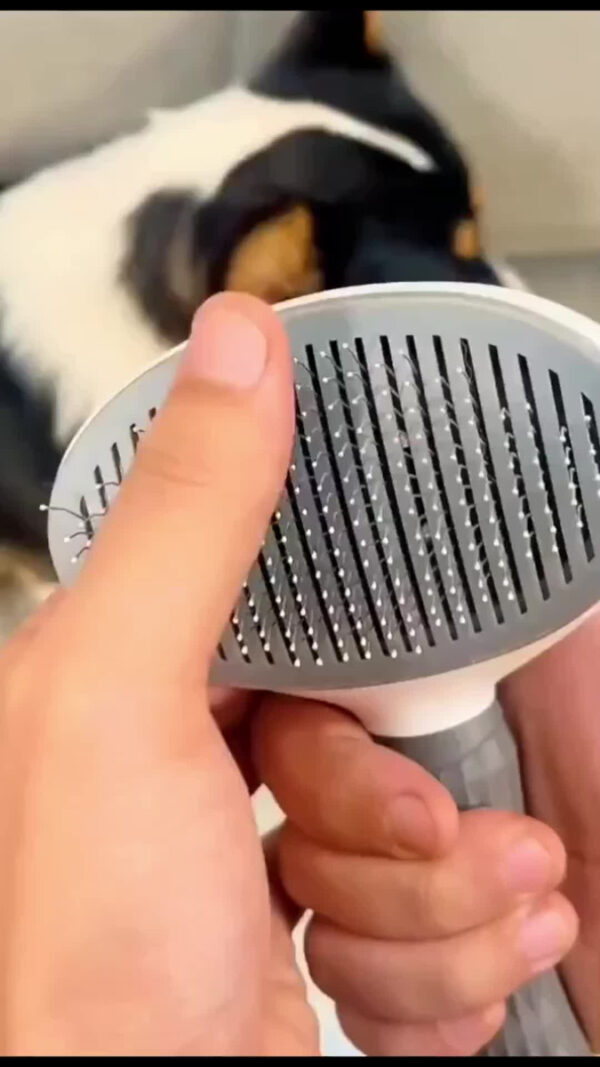 Peine Cepillo Autolimpiante Perros Gatos Mascotas Cardina