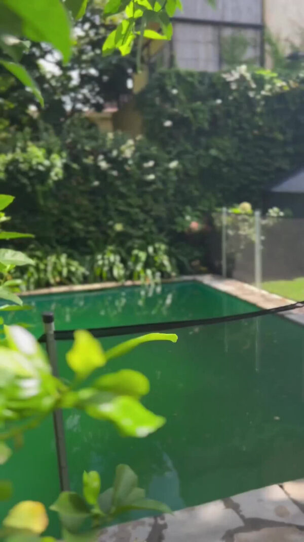 Ionizador Solar Para Pileta Gadnic L130 Panel Solar Monocristalino Pro