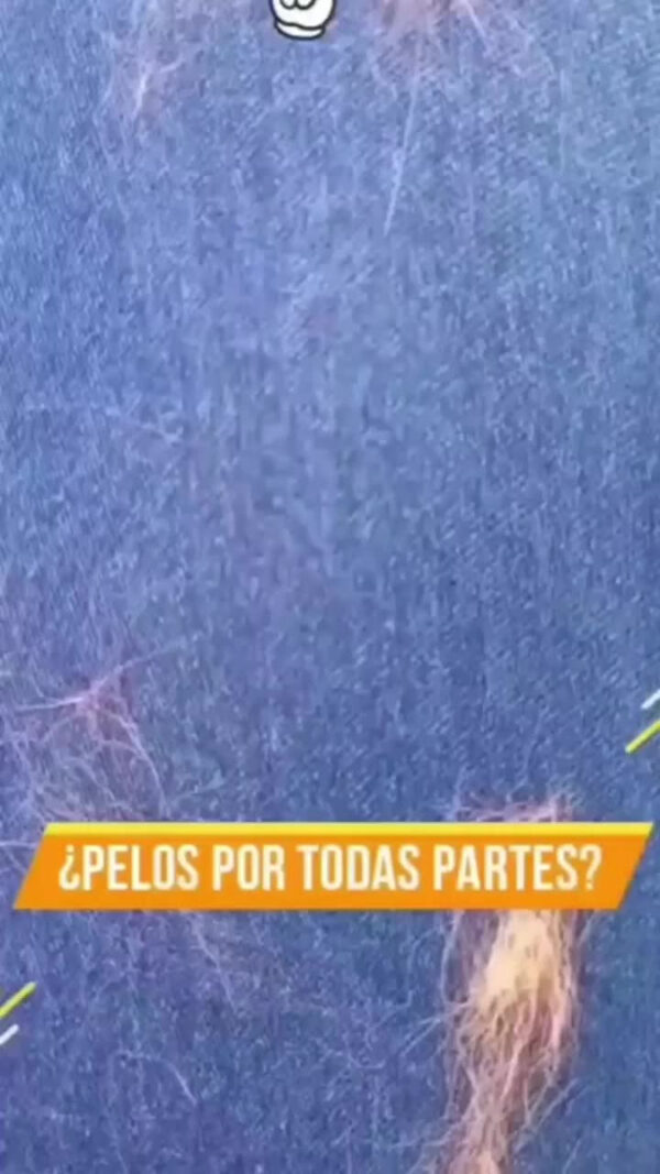 Peine Cepillo Autolimpiante Perros Gatos Mascotas Cardina