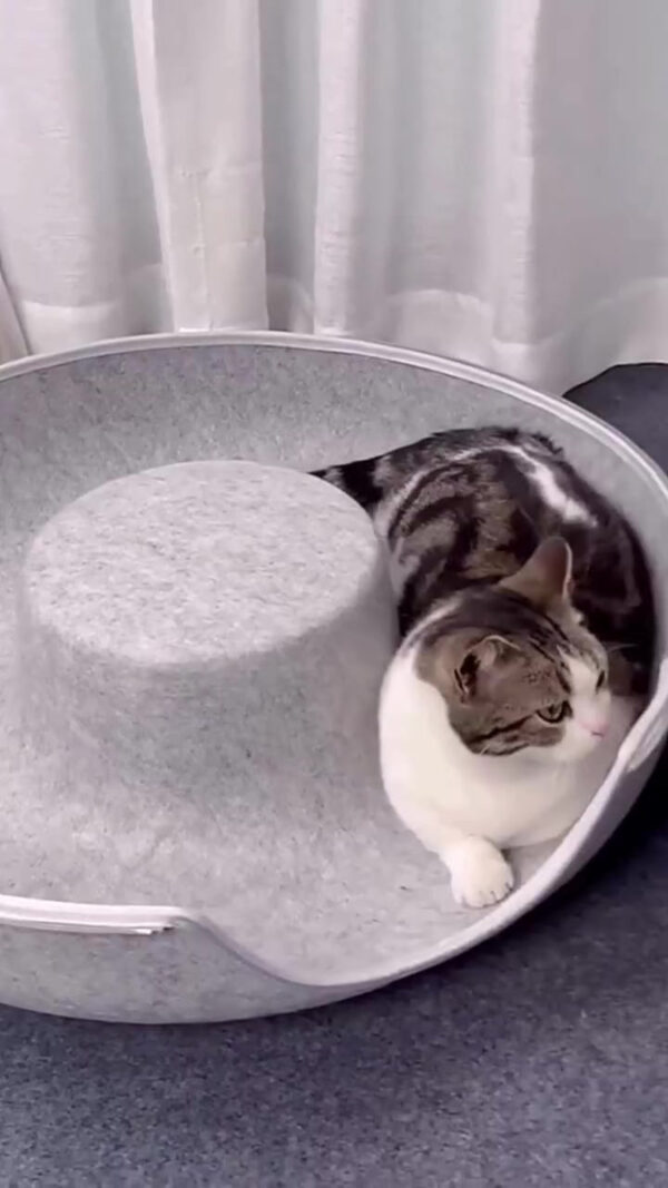 Cama Cucha Para Gato Perro Mascota Pequeña Cueva Túnel Dona Resistente