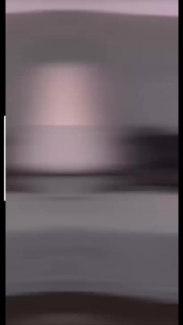 Moises Para Perro Gato Cucha Cama 68 X 48 De Super Calidad