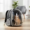 Mochila Transportadora Para Mascotas Rigida Gatos Perros Capsula