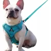 Arnes Pretal Para Perro Y Gato Con Correa 1.5 M Anti Tirones