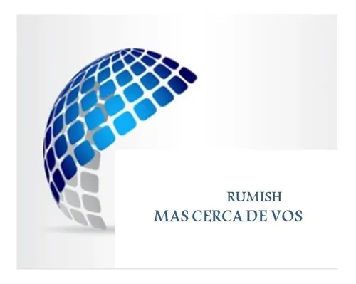 Raqueta Paleta Mata Mosquitos Moscas Recargable Usb