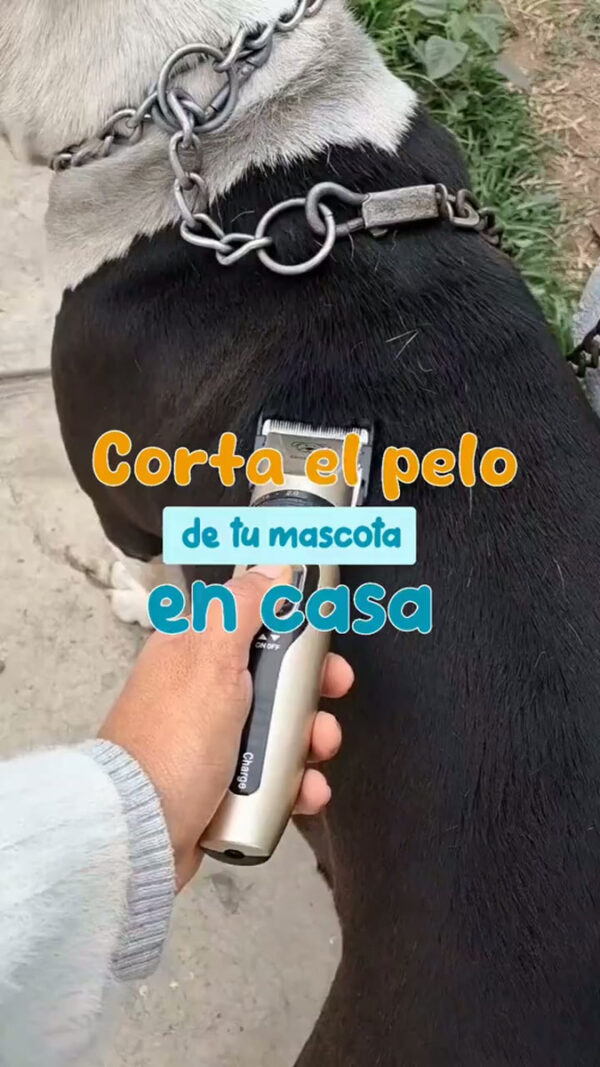 Maquina De Cortar Pelo Perros Mascotas Kit Peluqueria Dorado