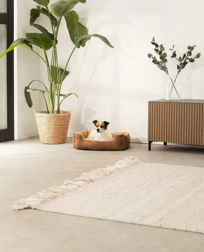 Moises Para Perro Gato Cucha Cama 68 X 48 De Super Calidad