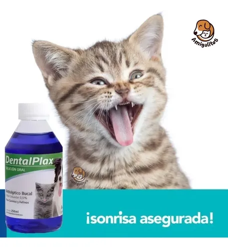 Enjuague Bucal Dental Plax Para Perros Gatos Buen Aliento Dentalplax