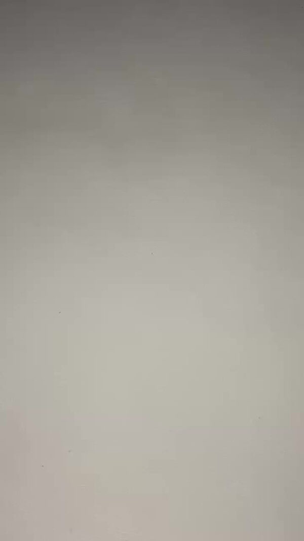 Raqueta Paleta Mata Mosquitos Moscas Recargable Usb