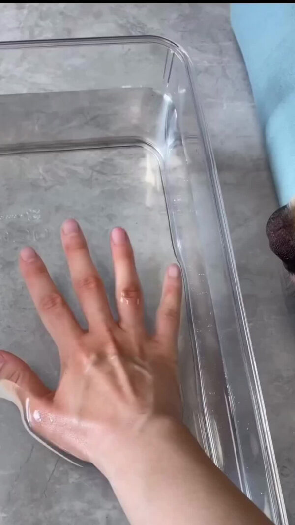 Cepillo A Vapor Perros Gatos Peine Masajeador Saca Pelos