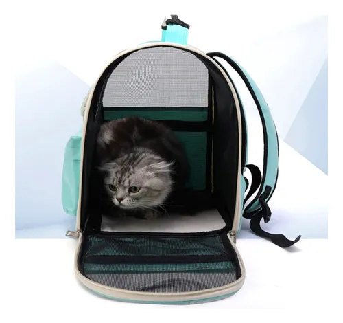 Mochila Hello Cat Para Mascotas Gatos Y Perros Suono Color Celeste