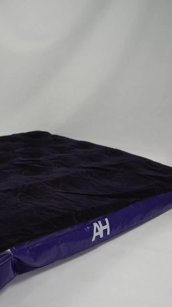 D_NQ_NP_935173-MLA94550127290_102025-F.jpg Colchon Inflable 1 Plaza Almohada Alpina 188x75x25 Inflador