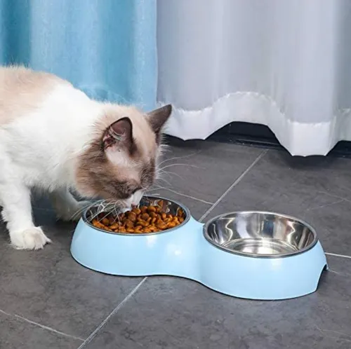 Plato Para Perro Comedero Para Mascotas Doble Perros Y Gato