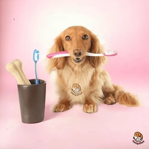 Enjuague Bucal Dental Plax Para Perros Gatos Buen Aliento Dentalplax